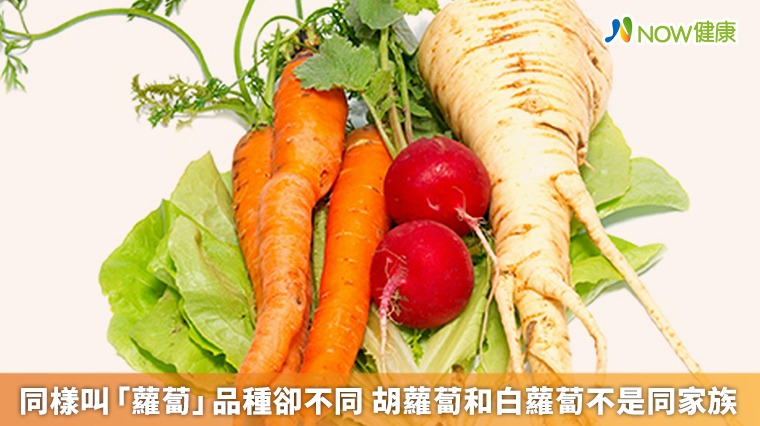 同樣叫「蘿蔔」品種卻不同 胡蘿蔔和白蘿蔔不是同家族 同樣叫「蘿蔔」品種卻不同 胡蘿蔔和白蘿蔔不是同家族