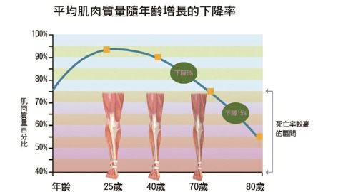 預防老化 「肌」不可失