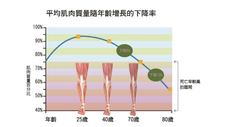 預防老化 「肌」不可失