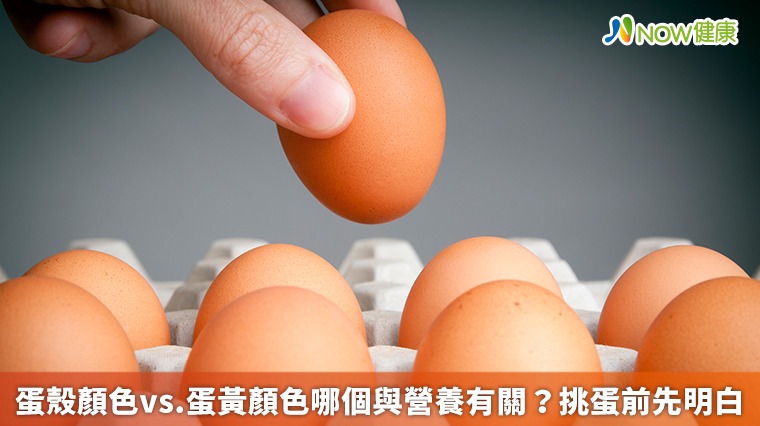 蛋殼顏色vs.蛋黃顏色哪個與營養有關? 挑蛋前先明白 蛋殼顏色vs.蛋黃顏色哪個與營養有關? 挑蛋前先明白