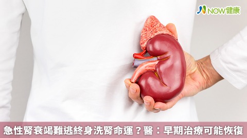 急性腎衰竭難逃終身洗腎命運？ 醫：早期治療可能恢復