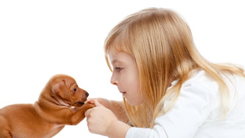 芬蘭研究：飼養寵物能增加幼童免疫力