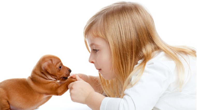 芬蘭研究：飼養寵物能增加幼童免疫力