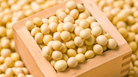 更年期不適別再忍耐 豆類製品能緩解症狀