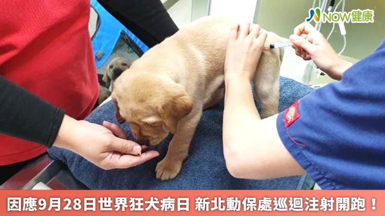 因應世界狂犬病日 動保處32場巡迴注射開跑