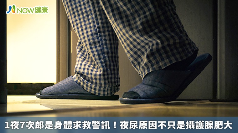 1夜7次郎是身體求救警訊! 夜尿原因不只是攝護腺肥大 1夜7次郎是身體求救警訊! 夜尿原因不只是攝護腺肥大