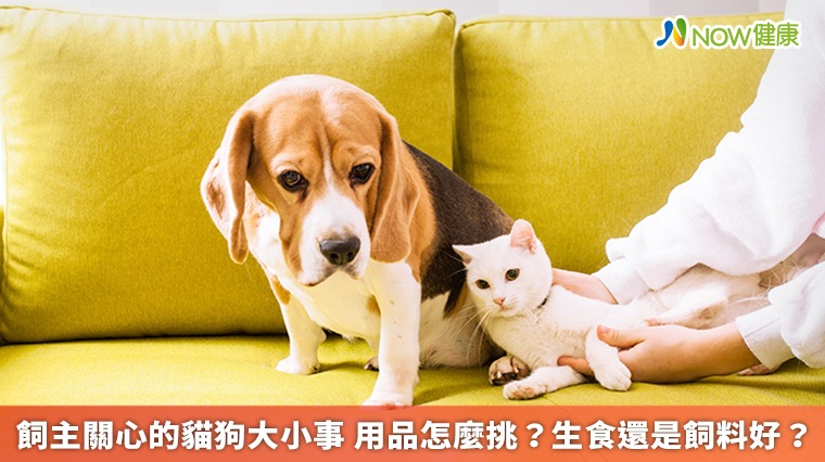 關於貓貓狗狗的大小事 飼主最關心的話題有這些 關於貓貓狗狗的大小事 飼主最關心的話題有這些