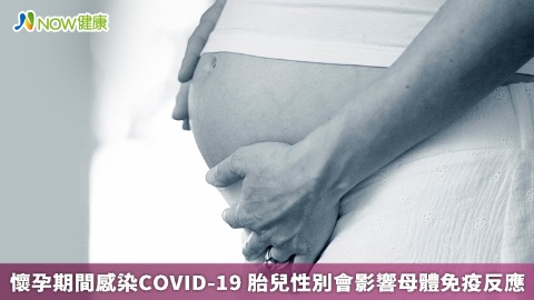 懷孕期間感染COVID-19 胎兒性別會影響母體免疫反應