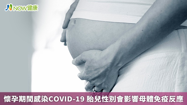 懷孕期間感染COVID-19 胎兒性別會影響母體免疫反應