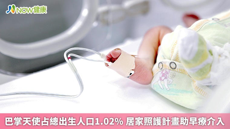 巴掌天使占總出生人口1.02% 居家照護計畫助早療介入 巴掌天使占總出生人口1.02% 居家照護計畫助早療介入