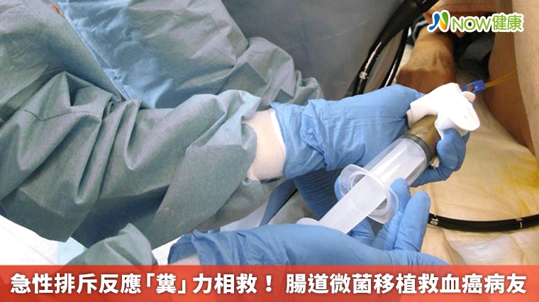 急性排斥反應「糞」力相救! 腸道微菌移植救血癌病友 急性排斥反應「糞」力相救! 腸道微菌移植救血癌病友