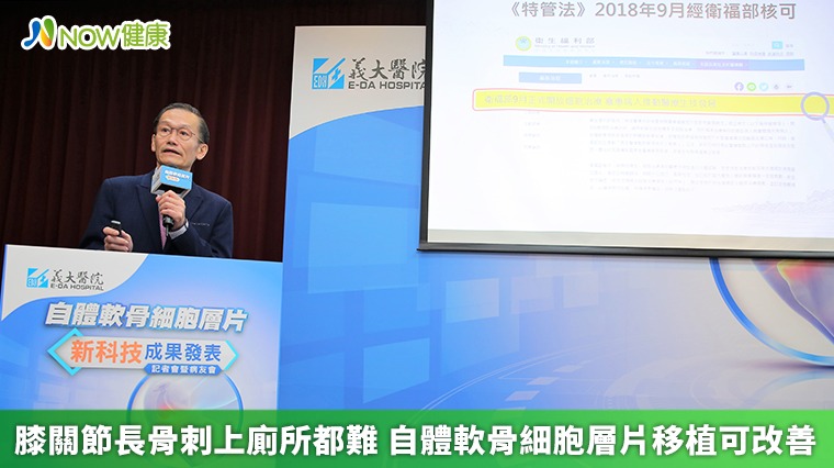 膝關節長骨刺上廁所都難 自體軟骨細胞層片移植可改善 膝關節長骨刺上廁所都難 自體軟骨細胞層片移植可改善