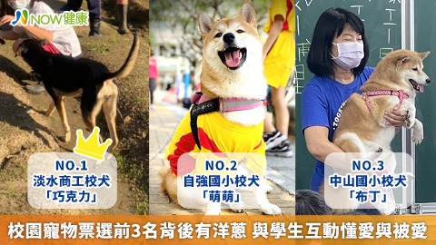 校園寵物票選前3名背後有洋蔥 與學生互動懂愛與被愛