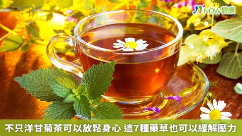 不只洋甘菊茶可以放鬆身心 這7種藥草也可以緩解壓力