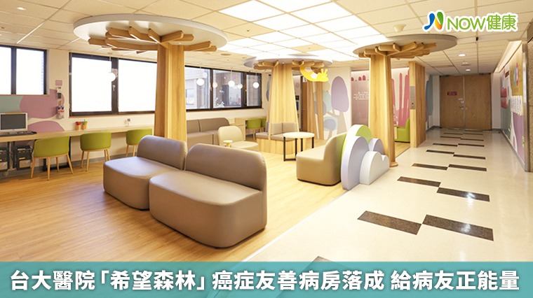 台大醫院「希望森林」癌症友善病房落成 給病友正能量 台大醫院「希望森林」癌症友善病房落成 給病友正能量