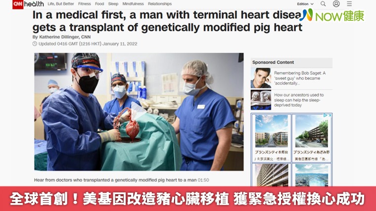 全球首創!美基因改造豬心臟移植 獲緊急授權換心成功 全球首創!美基因改造豬心臟移植 獲緊急授權換心成功