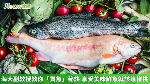 海大副教授教你「買魚」秘訣 享受美味鮮魚就該這樣挑