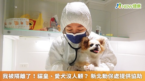 我被隔離了！貓皇、愛犬沒人顧？ 新北動保處提供協助