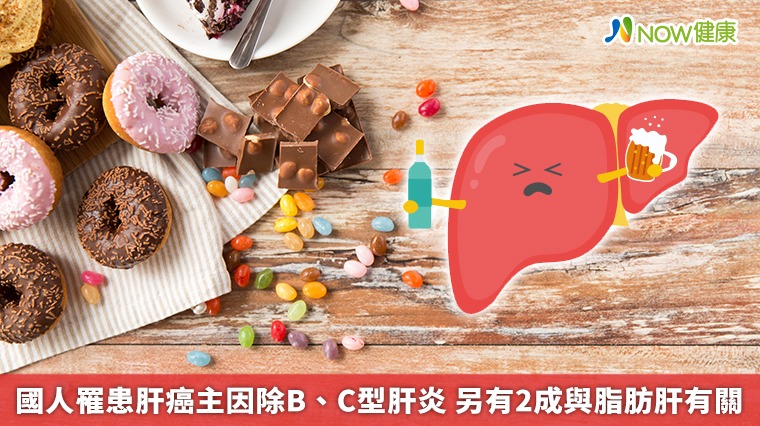 國人罹患肝癌主因除B、C型肝炎 另有2成與脂肪肝有關 國人罹患肝癌主因除B、C型肝炎 另有2成與脂肪肝有關