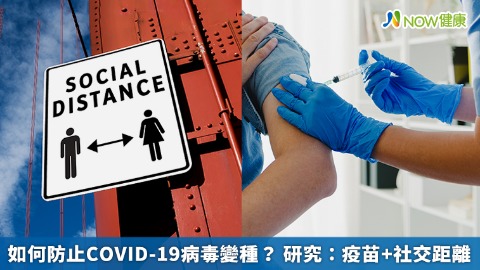 如何防止COVID-19病毒變種？ 研究：疫苗+社交距離 