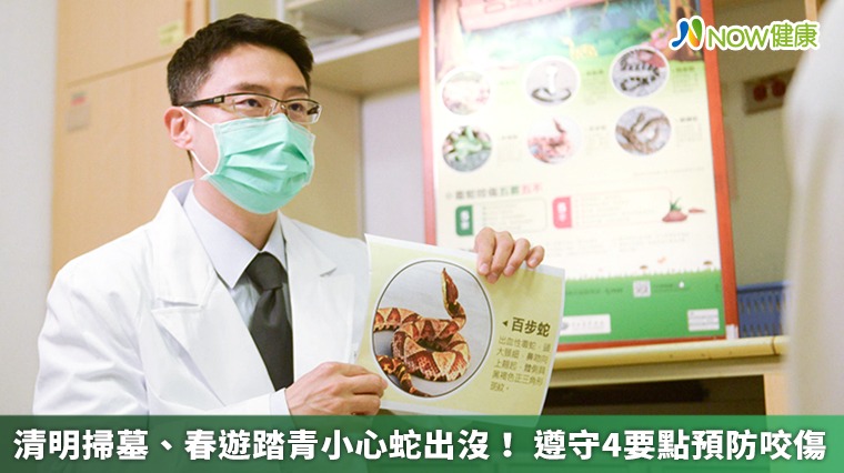 清明掃墓、春遊踏青小心蛇出沒! 遵守4要點預防咬傷 清明掃墓、春遊踏青小心蛇出沒! 遵守4要點預防咬傷