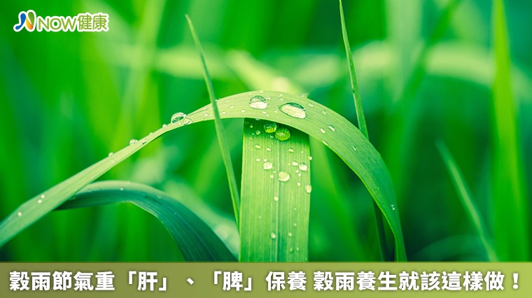 穀雨節氣重「肝」、「脾」保養 穀雨養生就該這樣做！