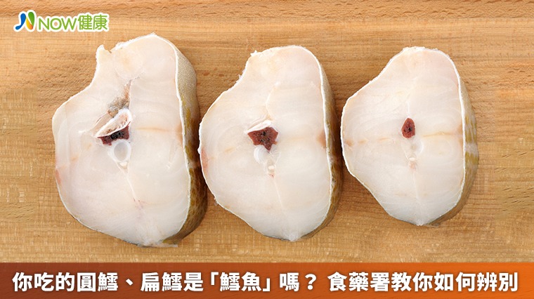 你吃的圓鱈、扁鱈是「鱈魚」嗎? 食藥署教你如何辨別 你吃的圓鱈、扁鱈是「鱈魚」嗎? 食藥署教你如何辨別
