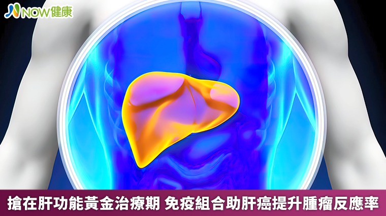 搶在肝功能黃金治療期 免疫組合助肝癌提升腫瘤反應率 搶在肝功能黃金治療期 免疫組合助肝癌提升腫瘤反應率