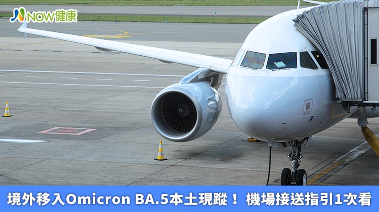 境外移入Omicron BA.5本土現蹤! 機場接送指引1次看 境外移入Omicron BA.5本土現蹤! 機場接送指引1次看