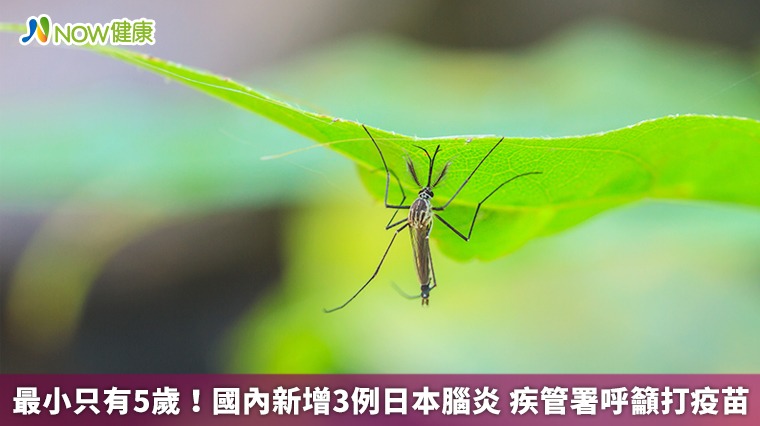 最小只有5歲!國內新增3例日本腦炎 疾管署呼籲打疫苗 最小只有5歲!國內新增3例日本腦炎 疾管署呼籲打疫苗
