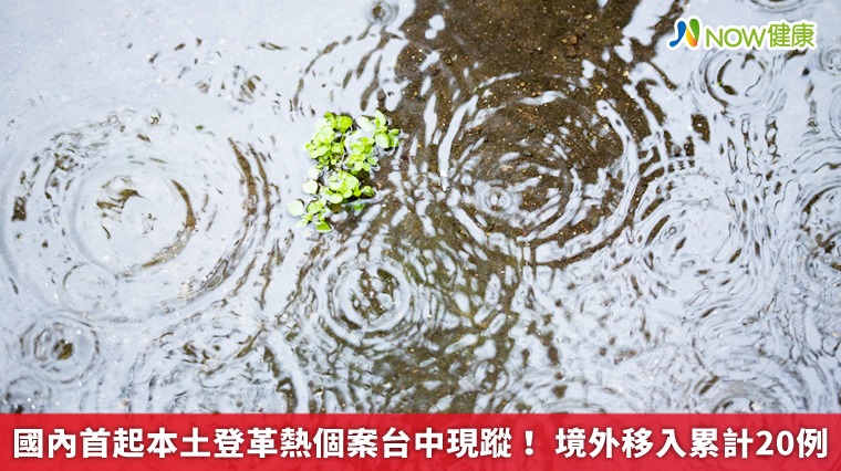 國內首起本土登革熱個案台中現蹤! 境外移入累計20例 國內首起本土登革熱個案台中現蹤! 境外移入累計20例