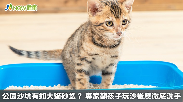 公園沙坑有如大貓砂盆? 專家籲孩子玩沙後應徹底洗手 公園沙坑有如大貓砂盆? 專家籲孩子玩沙後應徹底洗手