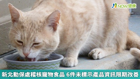 新北動保處稽核寵物食品 712包進口貓飼料出包被銷毀