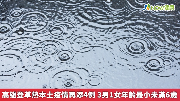 高雄登革熱本土疫情再添4例 3男1女年齡最小未滿6歲 高雄登革熱本土疫情再添4例 3男1女年齡最小未滿6歲