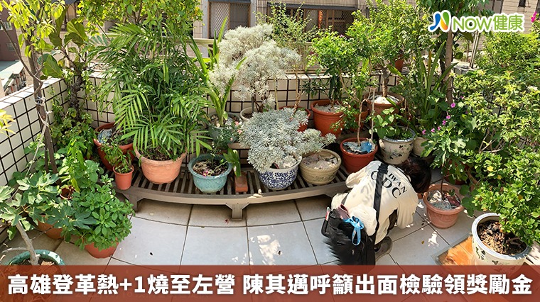 高雄登革熱+1延燒至左營 陳其邁呼籲出面檢驗領獎勵金 高雄登革熱+1延燒至左營 陳其邁呼籲出面檢驗領獎勵金