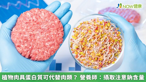 植物肉具蛋白質可代替肉類？ 營養師：攝取注意鈉含量