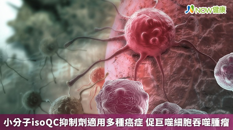 小分子isoQC抑制劑適用多種癌症 促巨噬細胞吞噬腫瘤 小分子isoQC抑制劑適用多種癌症 促巨噬細胞吞噬腫瘤