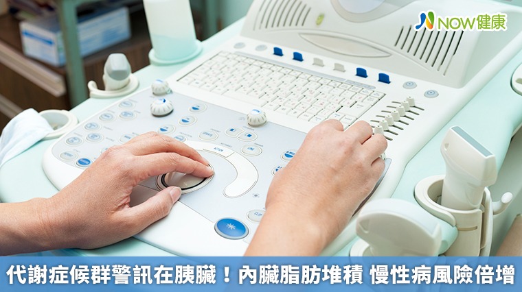 代謝症候群警訊在胰臟!內臟脂肪堆積 慢性病風險倍增 代謝症候群警訊在胰臟!內臟脂肪堆積 慢性病風險倍增