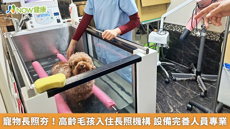 寵物長照夯!高齡毛孩入住長照機構 設備完善人員專業 寵物長照夯!高齡毛孩入住長照機構 設備完善人員專業