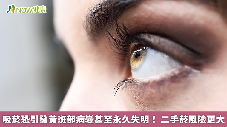 吸菸恐引發黃斑部病變甚至永久失明! 二手菸風險更大 吸菸恐引發黃斑部病變甚至永久失明! 二手菸風險更大