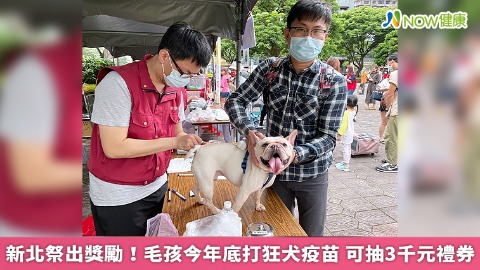 新北祭出獎勵！毛孩今年底打狂犬疫苗 可抽3千元禮券