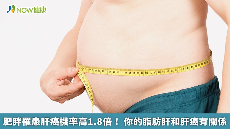 肥胖罹患肝癌機率高1.8倍！ 你的脂肪肝和肝癌有關係