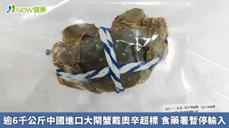 逾6千公斤中國進口大閘蟹戴奧辛超標 食藥署暫停輸入 逾6千公斤中國進口大閘蟹戴奧辛超標 食藥署暫停輸入