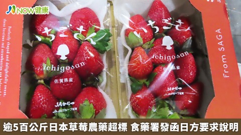 逾5百公斤日本草莓農藥超標 食藥署發函日方要求說明