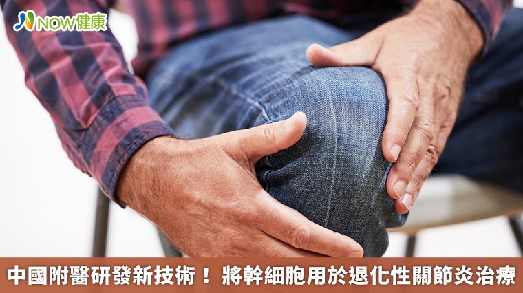 中國附醫研發新技術! 將幹細胞用於退化性關節炎治療 中國附醫研發新技術! 將幹細胞用於退化性關節炎治療