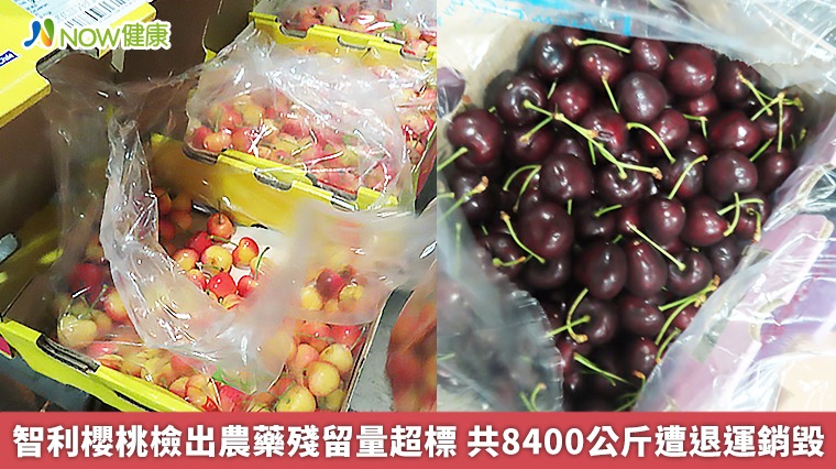 智利櫻桃檢出農藥殘留量超標 4批共8400公斤退運銷毀 智利櫻桃檢出農藥殘留量超標 4批共8400公斤退運銷毀