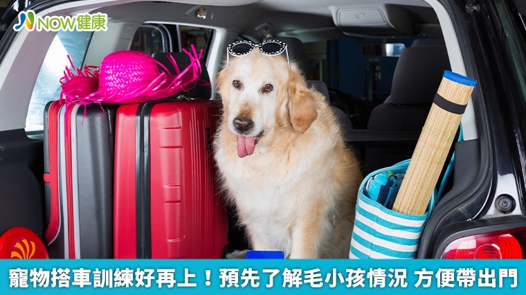 寵物搭車訓練好再上!預先了解毛小孩情況 方便帶出門 寵物搭車訓練好再上!預先了解毛小孩情況 方便帶出門