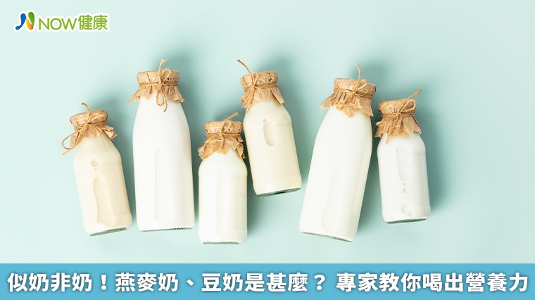 似奶非奶！燕麥奶、豆奶是甚麼？ 專家教你喝出營養力