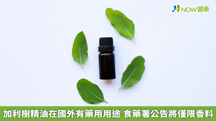 尤加利樹精油在國外有藥用用途 食藥署公告將僅限香料 尤加利樹精油在國外有藥用用途 食藥署公告將僅限香料