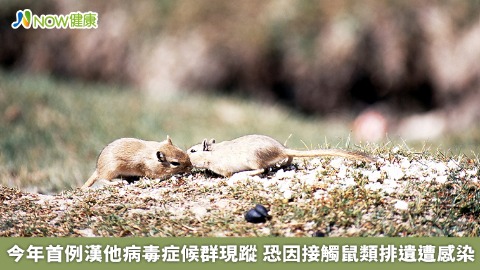 今年首例漢他病毒症候群現蹤 恐因接觸鼠類排遺遭感染